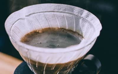 Que faire avec le marc de café dans son jardin ?