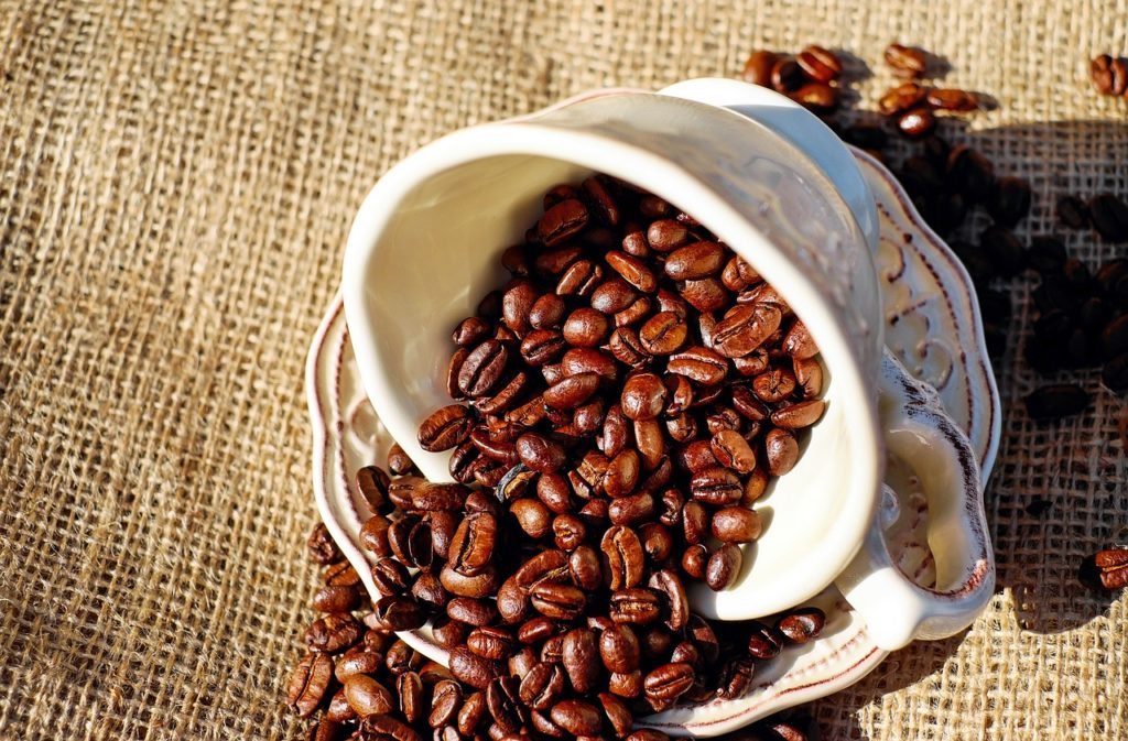 Le grain de café araibica